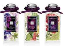 CSL’s Favourite | Products We Love