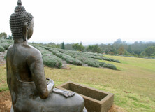 Awesome Adventure | Ali’i Kula Lavender Farm Maui