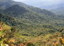Postcards | Costa Rica