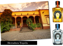 Tasting | Herradura Tequila