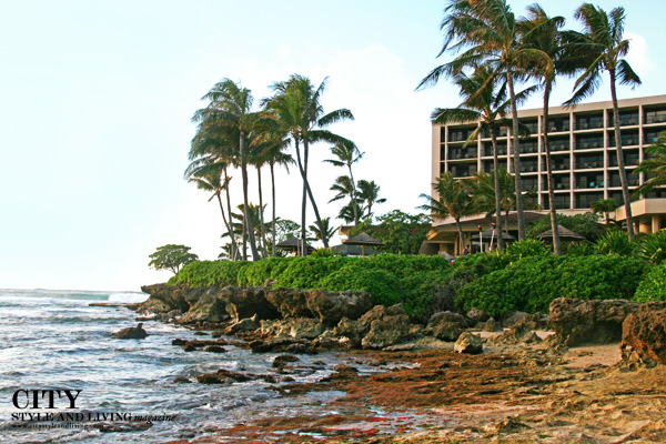 CSL’s Favourite Hotels | Turtle Bay Resort Oahu