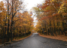 An Experience | Charming Door County Wisconsin