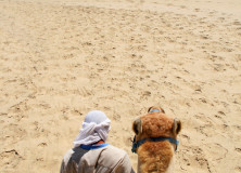 Awesome Adventure | Cabo Adventures, Cabo San Lucas
