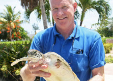 Awesome Adventure | Cayman Turtle Farm