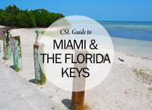 Travel Guide to Miami and The Florida Keys