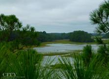 In Photos: South Carolina