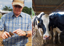 How A South Carolina Farmer Revolutionized Happy Cow Creamery By Letting the Cows Lead