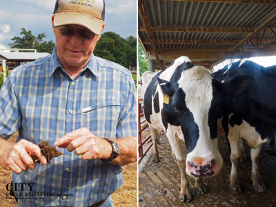 How A South Carolina Farmer Revolutionized Happy Cow Creamery By Letting the Cows Lead