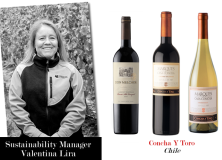 Wine Q & A | Concha Y Toro’s Valentina Lira