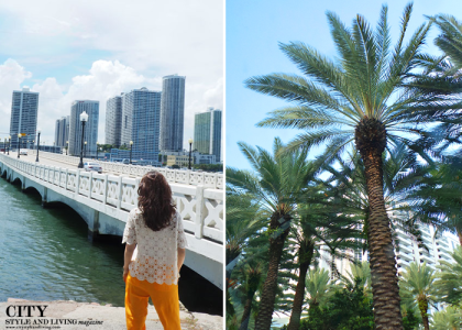 City Style and Living Magazine the Editor's Notebook Venetian Causeway Miami