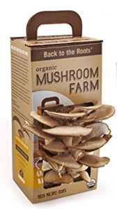 Back to the Roots Mushroom Farm
