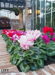 Flowers inside Lauritzen Gardens City Style and living magazine