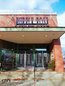 Purple Rose Theater in Chelsea Michigan