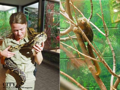 Zookeeper with Snake and Marmoset at Lincoln Children's Zoo