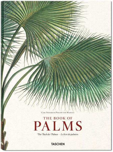 Palm Wonderful A New Book Explores This Intriguing Tree