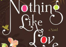 Summer Reading Nothing Like Love