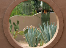 In Photos: Arizona