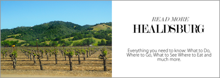 City Style and Living Magazine Healdsburg Read More on the Blog