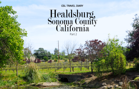 City style and living magazine Healdsburg travel and style diary