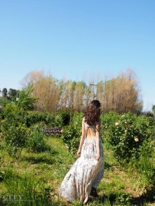 City Style and Living Magazine Dragonfly Floral fashion blogger Healdsburg maxi dress 2