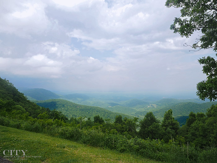 Starring Roanoke Virginia