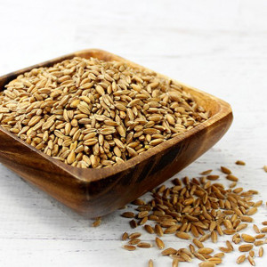 Culinary Lexicon: What are Ancient Grains?