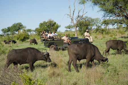 Africa-Safari