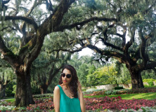 Minimalist at Brookgreen Gardens