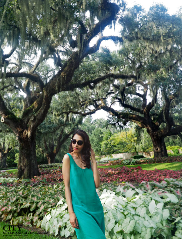 Minimalist at Brookgreen Gardens