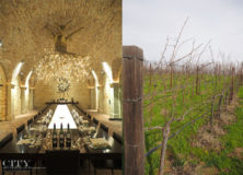 Editors Fave Food and Wine | Napa and Sonoma