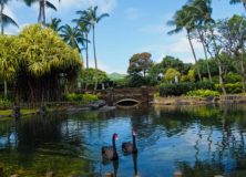 Grand Hyatt Kauai