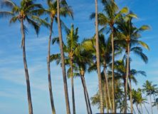 Hertz Kauai Road Trip