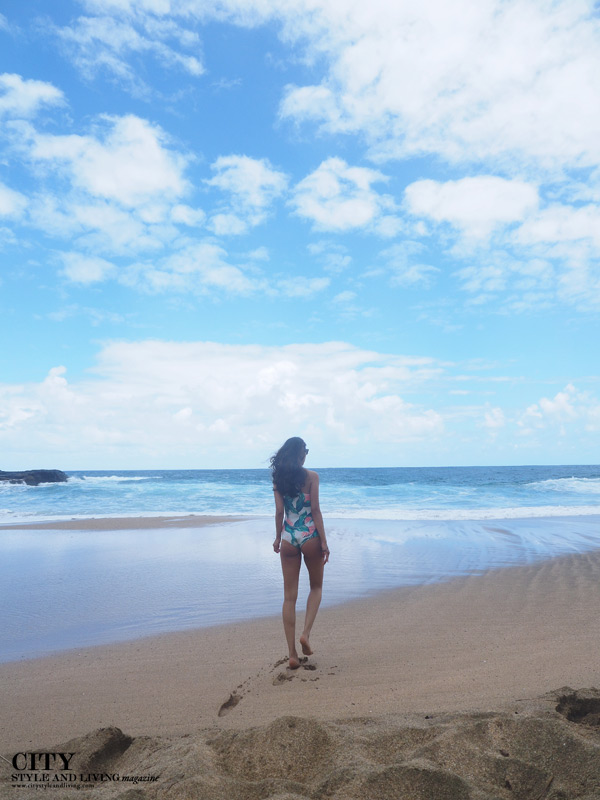 Surf Lesson