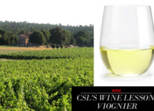 Wine Lesson: Viognier