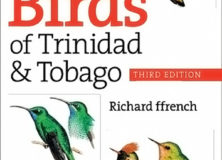 A Guide to the Birds of Trinidad and Tobago | Book Review