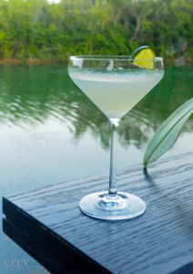 City Style and Living Magazine gimlet cocktail recipe