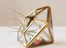 Make Your Own Terrarium