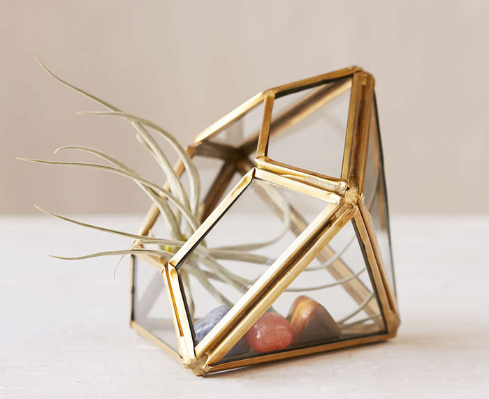 Make Your Own Terrarium