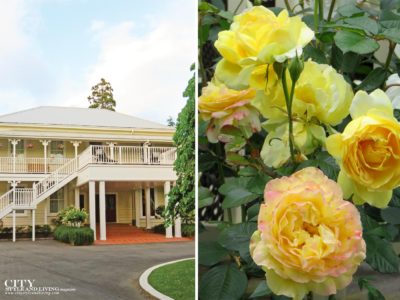 City Style and Living Magazine Mangapapa Hotel Napier New Zealand North Island back of hotel, and yellow roses