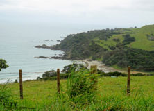 4 Not To Miss Sights and Events in Auckland New Zealand