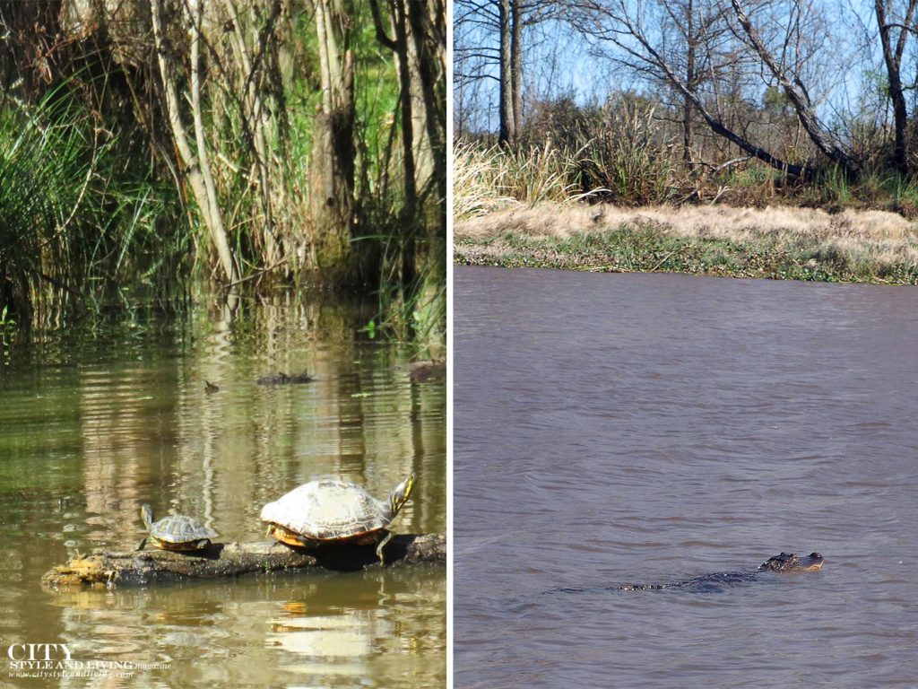 Go Back in Time and Go Back to Nature with Cajun Encounters | Awesome Adventure