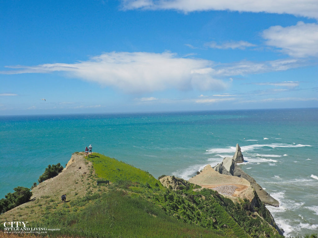 2 Unforgettable Adventures in Hawkes Bay