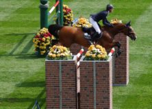 Spring and Summer at Spruce Meadows