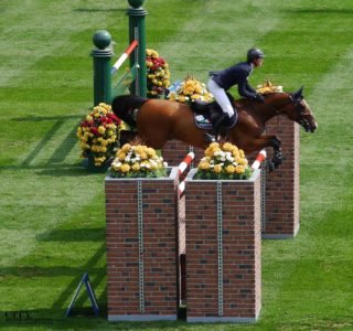 Spring and Summer at Spruce Meadows