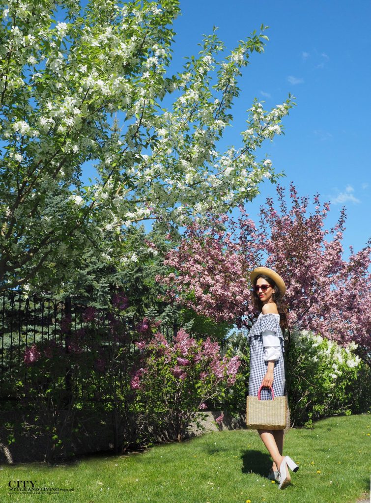 Summer Picnic and Gingham