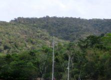 The National Trust of Trinidad and Tobago Western Isles Boat Tour
