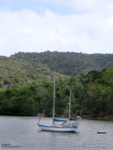 The National Trust of Trinidad and Tobago Western Isles Boat Tour