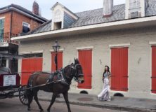 French Dressing: New Orleans