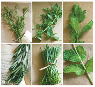 City Style and Living Magazine herbs you should know