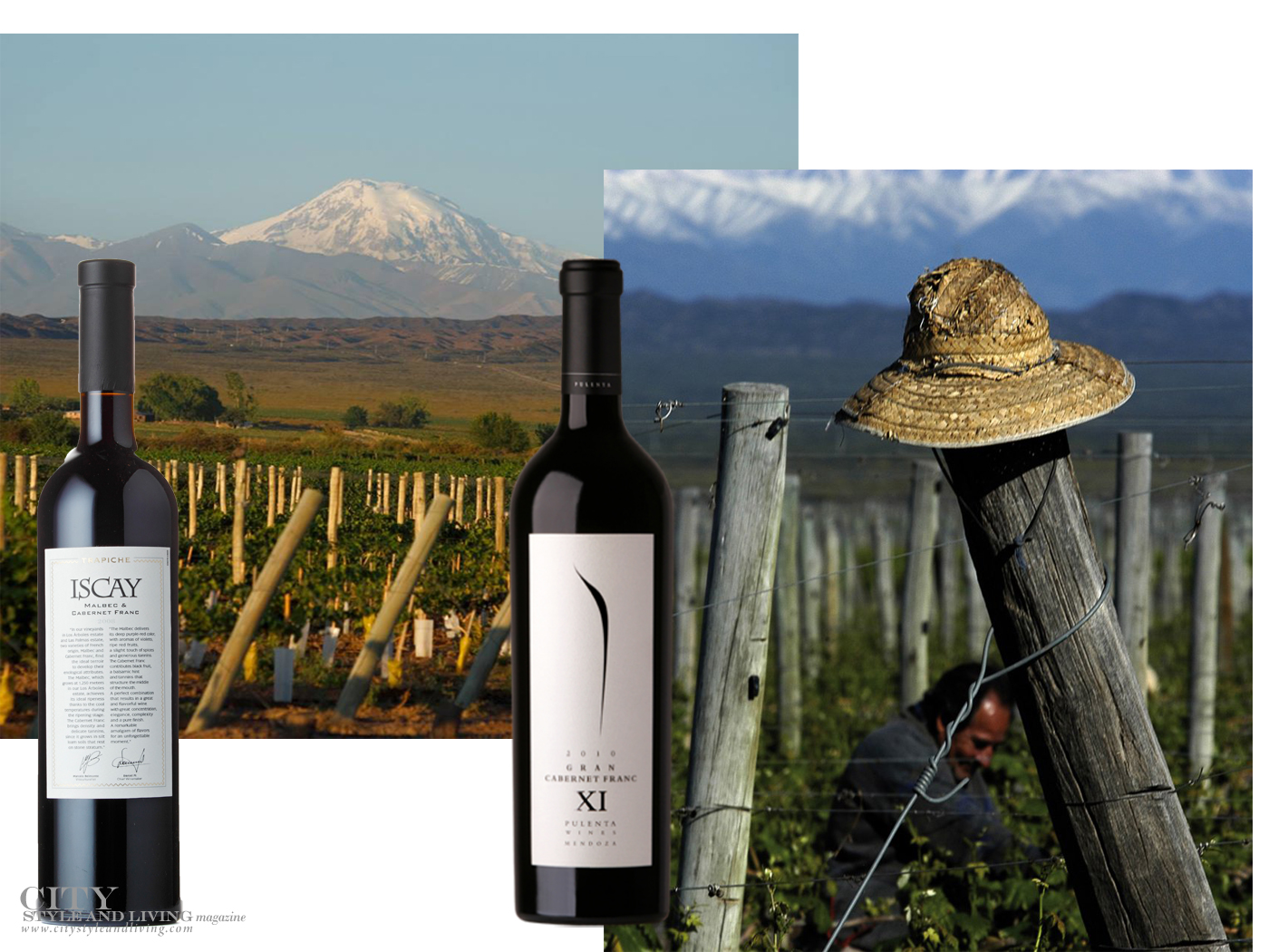 Quintessence вино. Trapiche Vineyards Malbec 2020 Аргентина. Cabernet Franc вино. Trapiche Malbec. Pure Malbec, Trapiche.